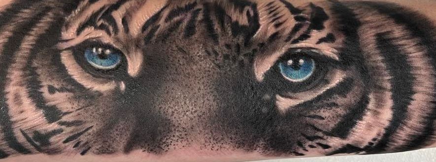 Evolution Tattoo Studio