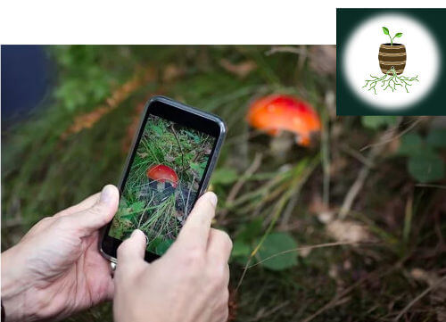 Kidlington Eco Group